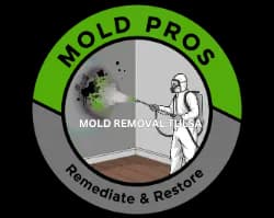 Number 19 Remediation Company Logo for Mold Removal Tulsa